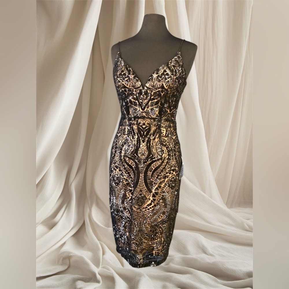 BARIANO Sleeveless Black Nude Sequins Dress